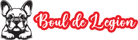Allevamento Bouledogue francese